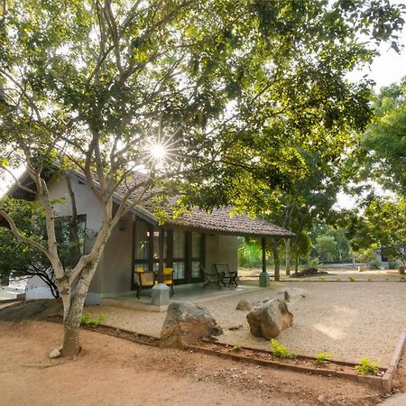 Koragaha Lodge - Yala Tissamaharama Dış mekan fotoğraf