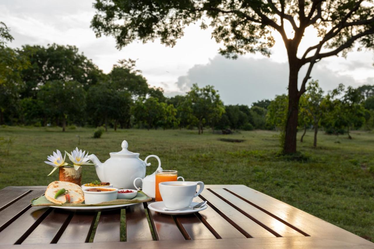Koragaha Lodge - Yala Tissamaharama Dış mekan fotoğraf