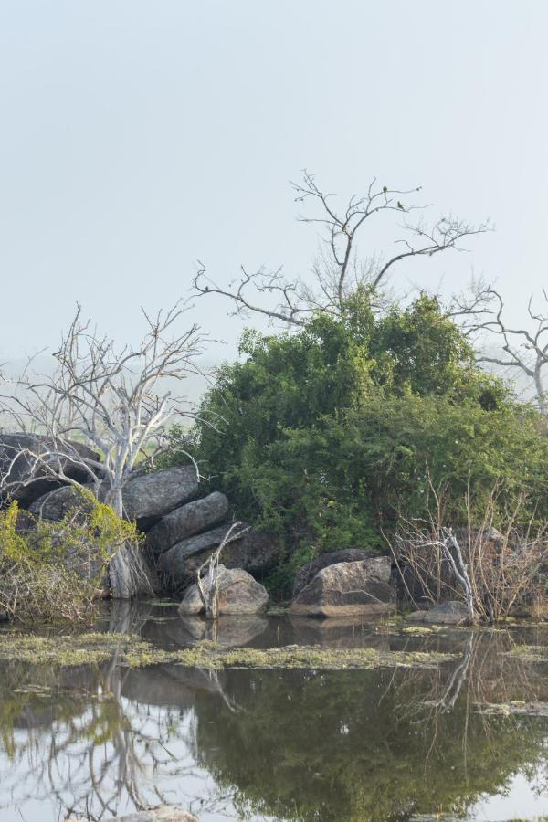 Koragaha Lodge - Yala Tissamaharama Dış mekan fotoğraf