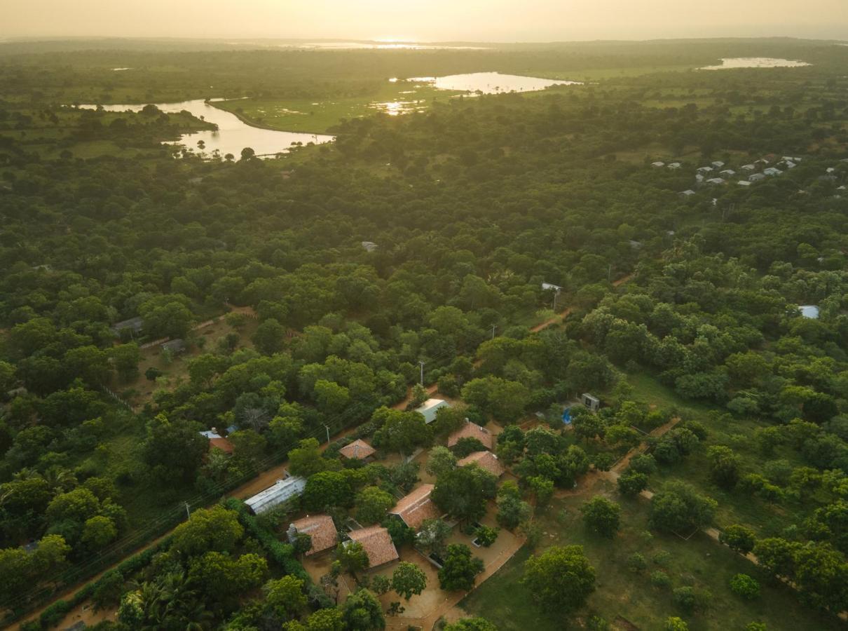 Koragaha Lodge - Yala Tissamaharama Dış mekan fotoğraf